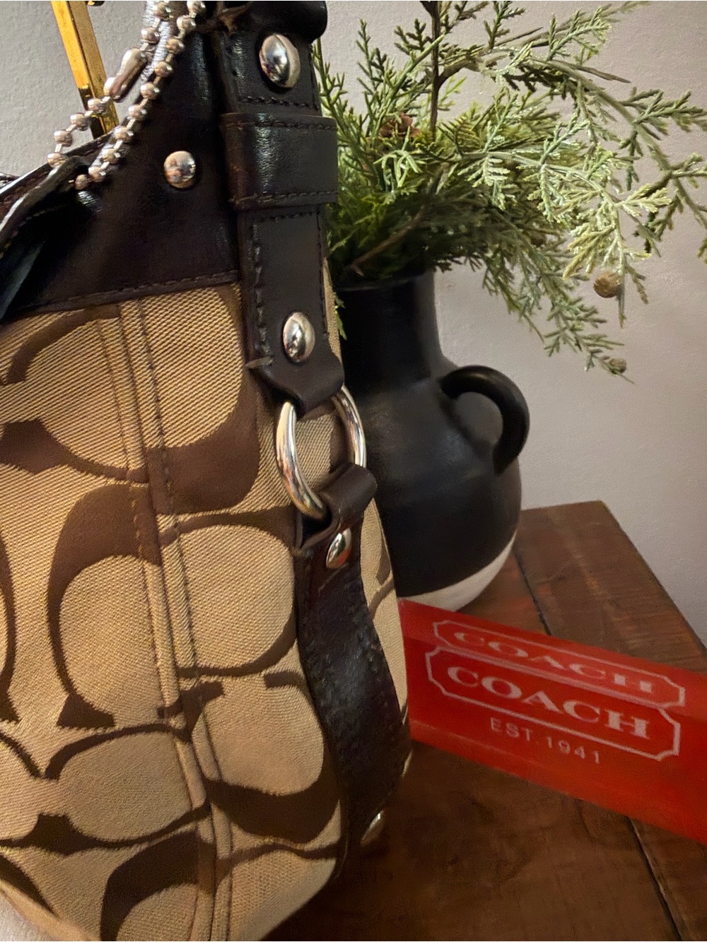 Coach Signature C Zoe Bag - Picture 5 of 16